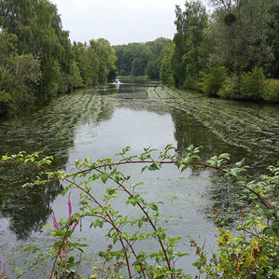 Faucardage pour étang, canaux et plan d'eau